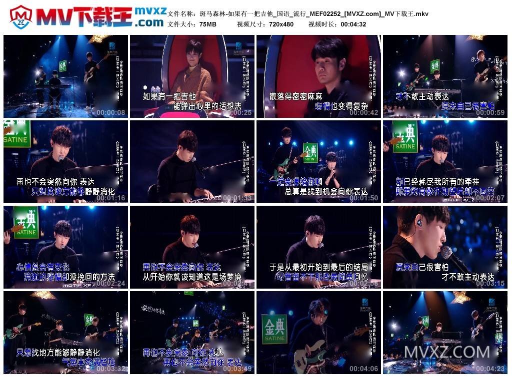 斑马森林-如果有一把吉他_国语_流行_MEF02252